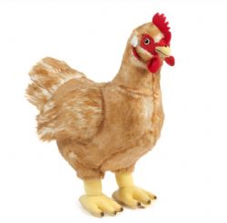 PELUCHE - POULE